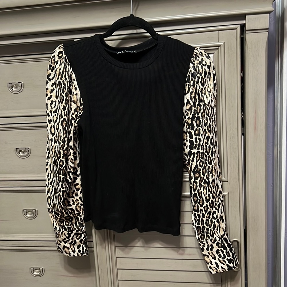 Zara- long sleeve top